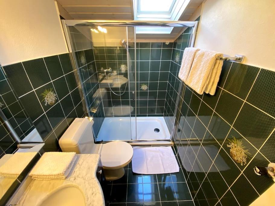 The Penthouse - Center Apartment Lugano